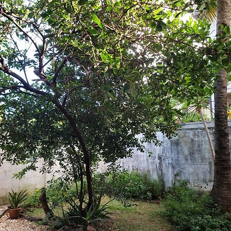 Antsiranana Hotel Le Petit Paradis מראה חיצוני תמונה