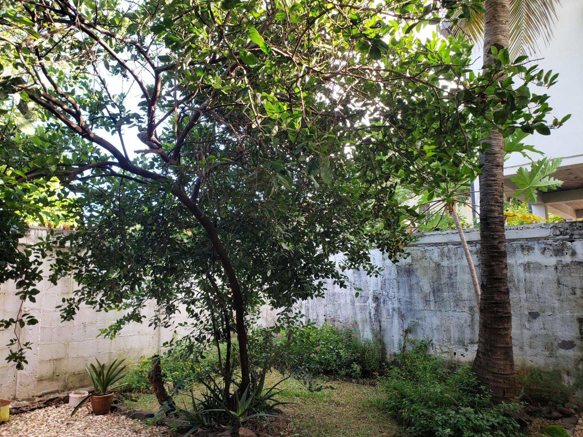 Antsiranana Hotel Le Petit Paradis מראה חיצוני תמונה